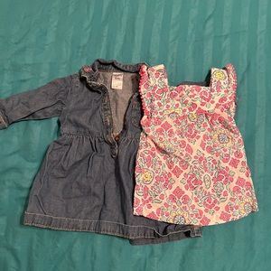 Carter’s Transitional Bundle